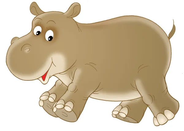 Brown baby hippopotamus — Stock Photo, Image