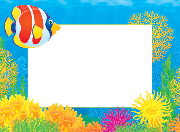 Underwater stationery border of anemones