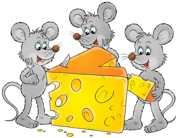 Three gray mice dining on a big wedge of swiss cheese — Stock Photo, Image