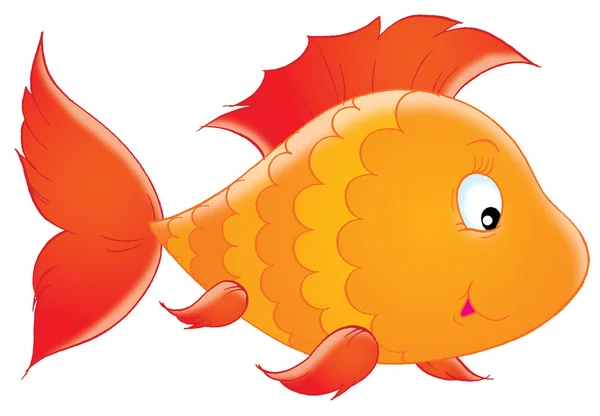 Lindo pez rayado naranja con aletas rojas — Foto de Stock
