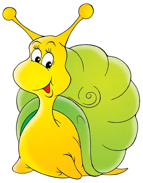 Escargot de jardin Photo De Stock