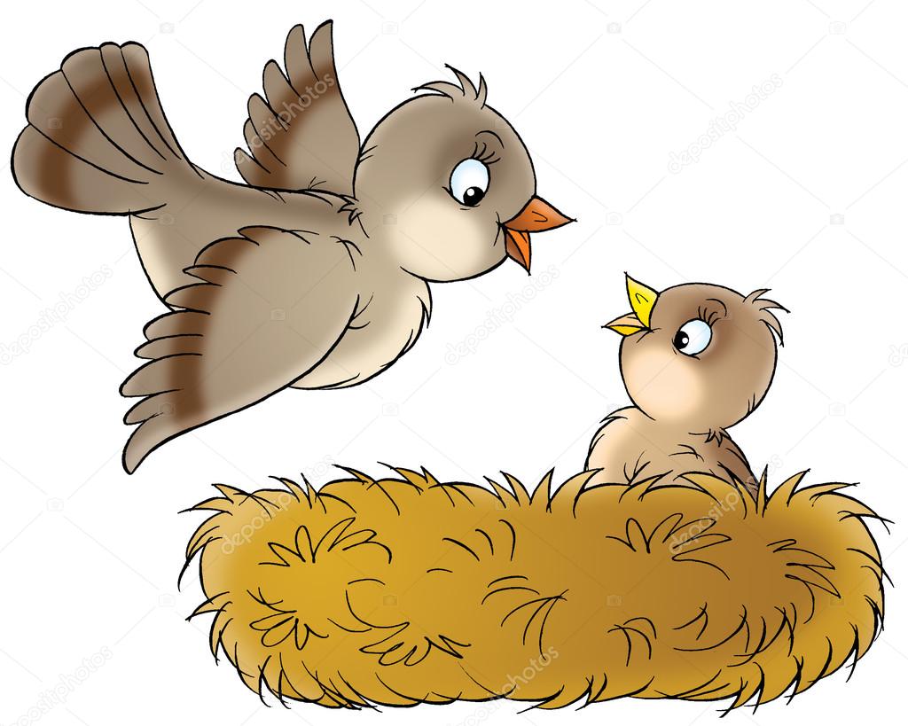Cute baby bird in a nest, looking up at its mother as she arrives home.