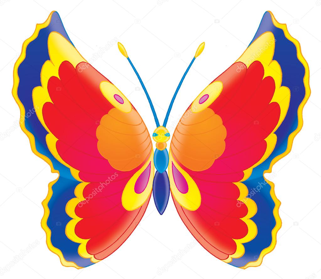 Colorful butterfly