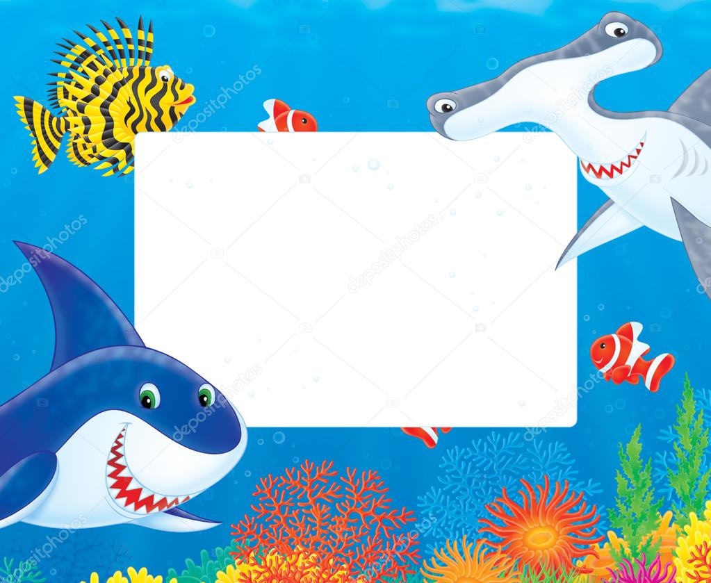 Fish and shark frame