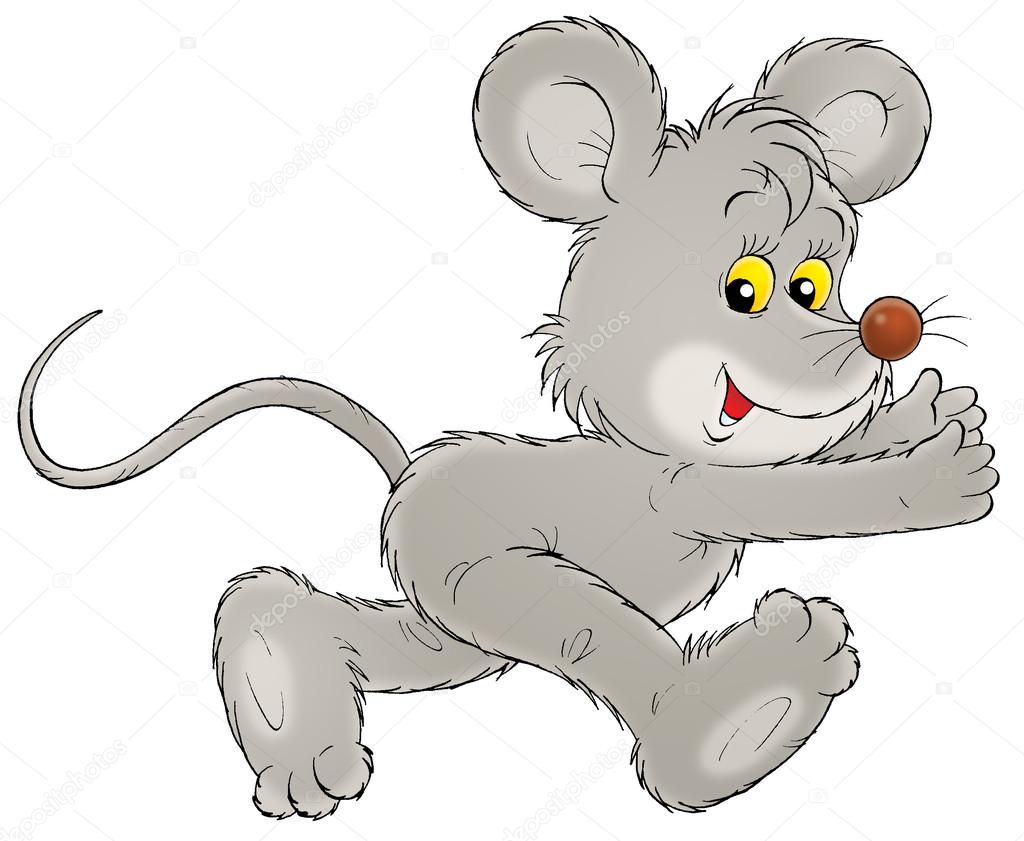 Running gray mouse