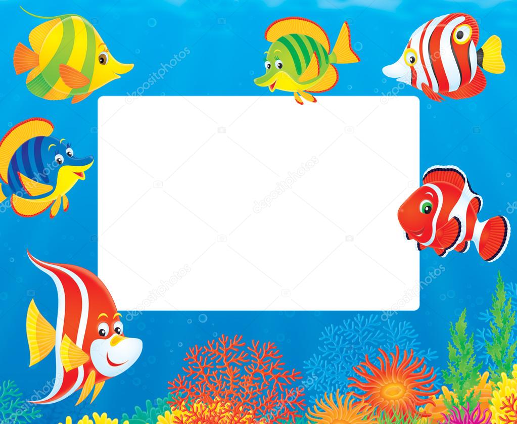 fish and coral reef frame