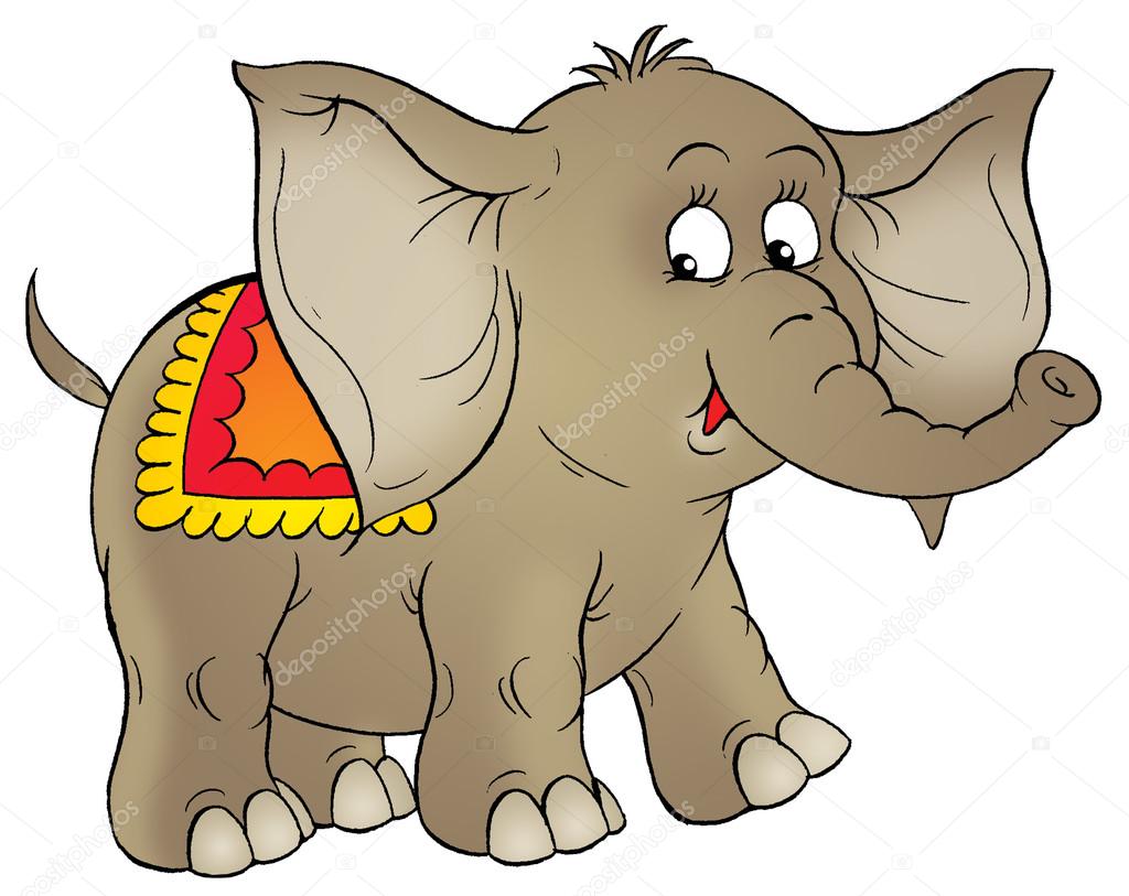 Cute brown circus elephant with a blanket on its back
