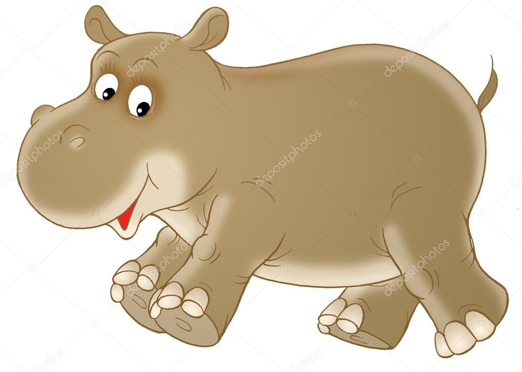 Brown baby hippopotamus