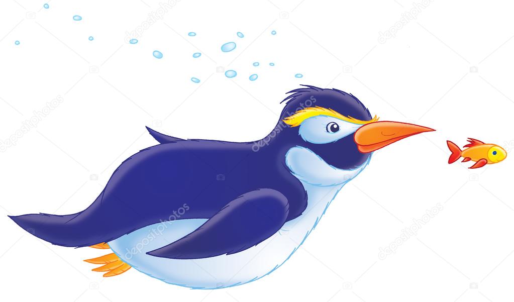 Blue and white penguin with yellow eyebrows