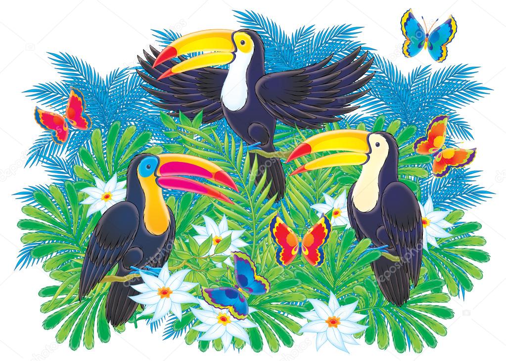 three colorful toucans