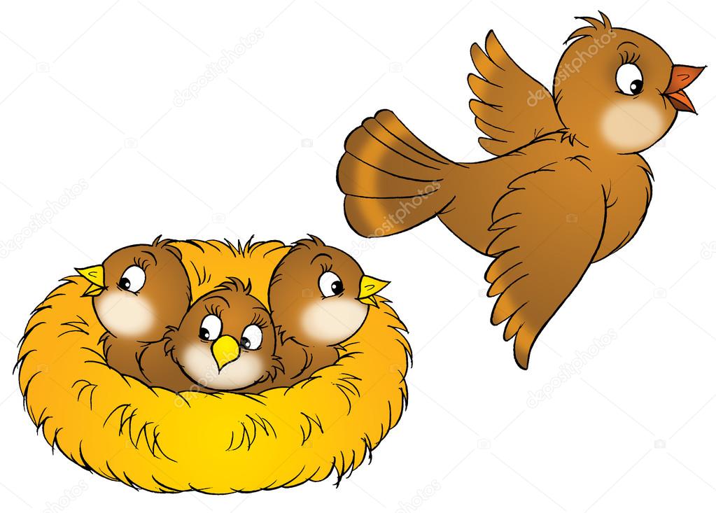 Brown bird flying away from a nest with three baby birds.