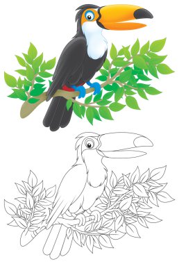 tukan