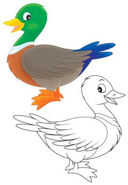 Eğil