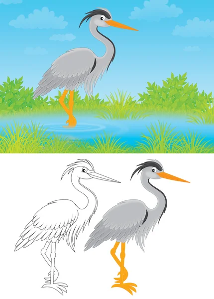 Heron — Stockfoto