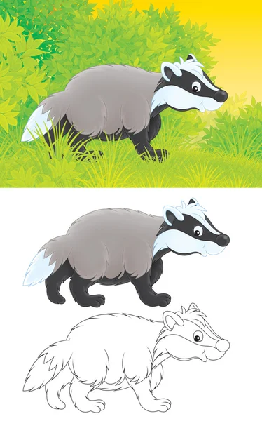 Badger — Stock Photo, Image