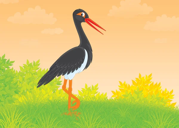 Black Stork — Stock Photo, Image