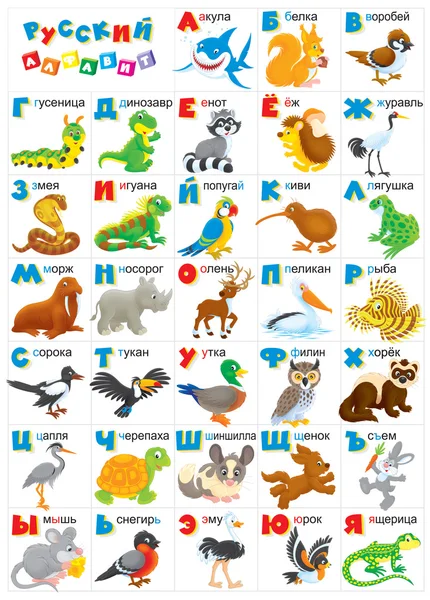 Russisches Alphabet — Stockfoto