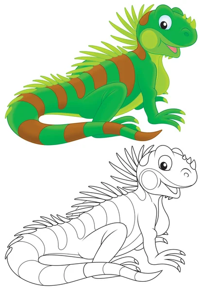 Iguana para colorear fotos de stock, imágenes de Iguana para colorear sin royalties | Depositphotos Iguana para colorear fotos de stock, imágenes de Iguana para colorear sin royalties | Depositphotos