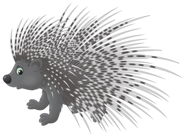 Porcupine — Stockfoto