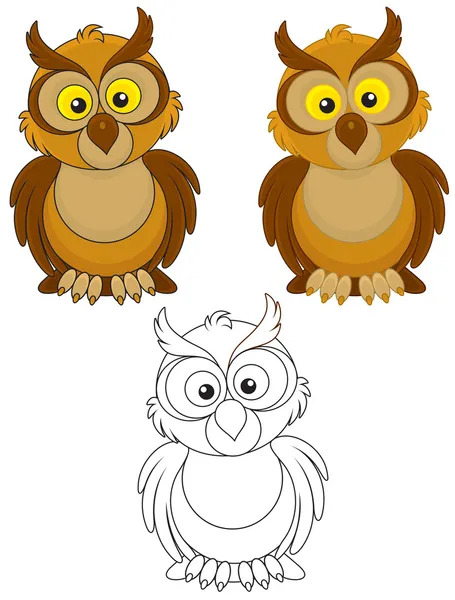 Brown Owl — Stock Vector