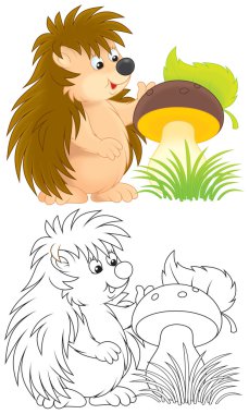 Kirpi