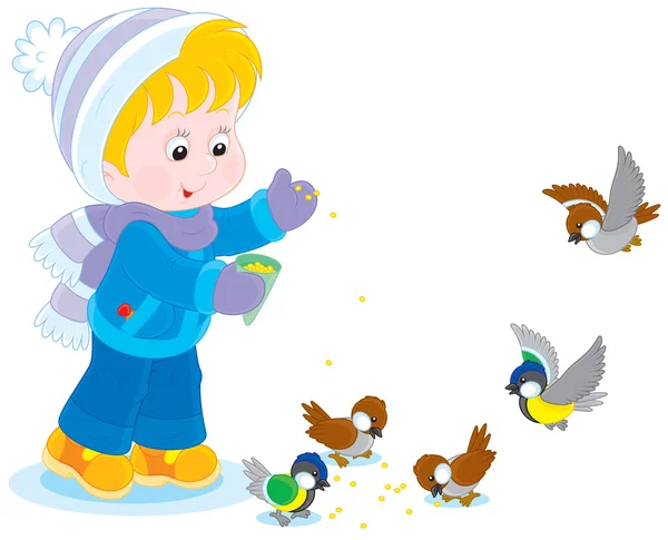 Enfant nourrit les oiseaux — Image vectorielle