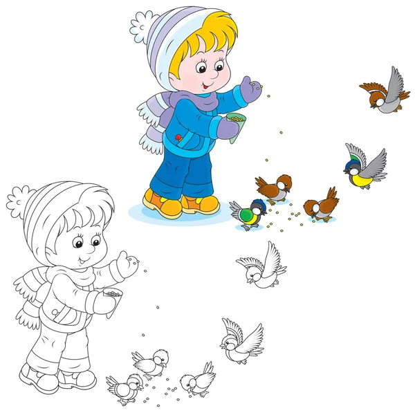 Child feeds birds — Stock Vector