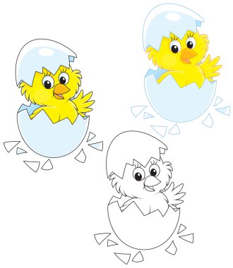 Hatched Chick clipart