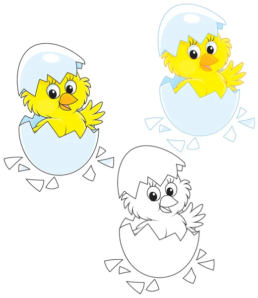 Hatched Chick — Stock Vector