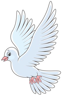 Pigeon clipart