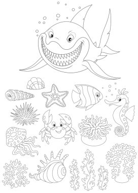 deniz hayvanları