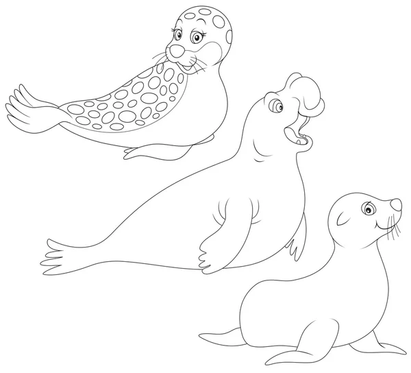 Seals — Stock Vector