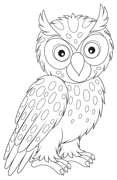 Long-eared owl — Stock Vector
