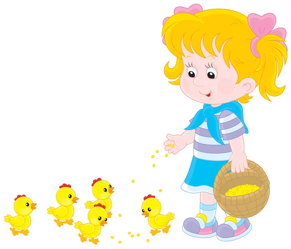 Girl feeds chicks — Stock Vector