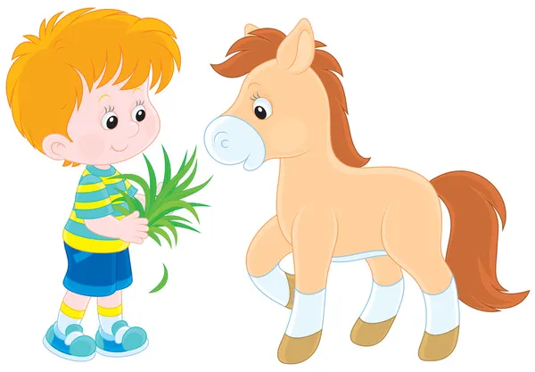 Chico alimenta a un pony — Vector de stock