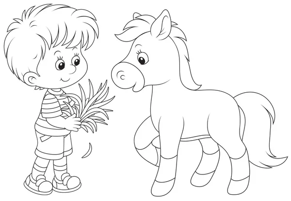 Chico alimenta a un pony — Vector de stock