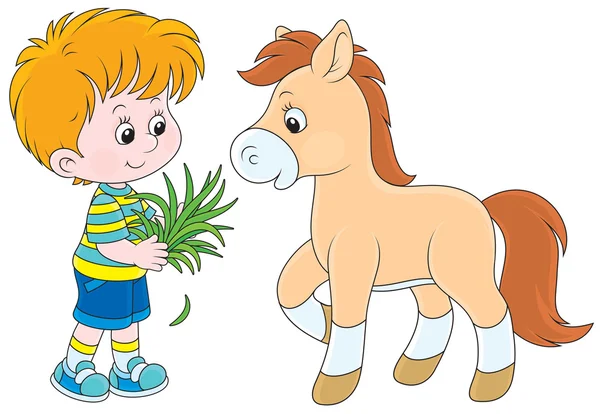 男孩喂一匹小马 — 图库矢量图片