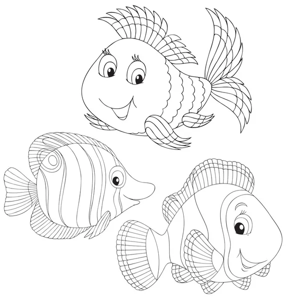 Korálové ryby — Stockový vektor