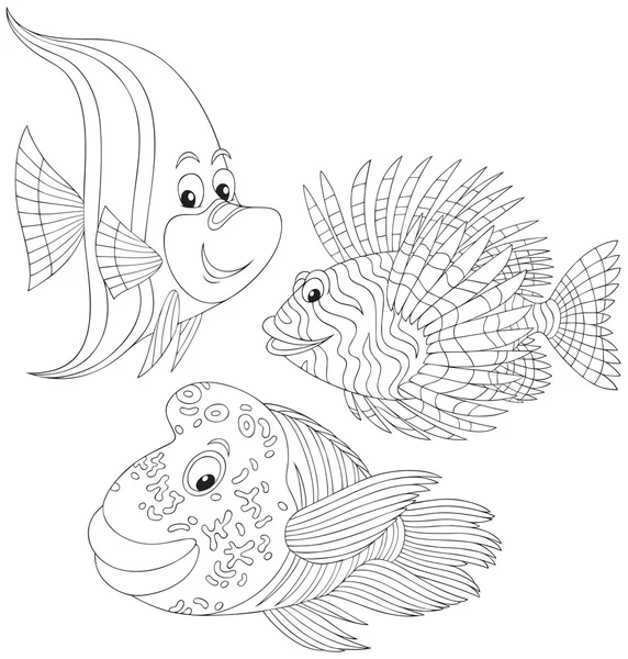 Mercan balıklar — Stok Vektör
