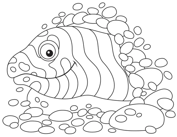 海鳗 — 图库矢量图片