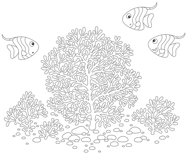 ปลาและปะการัง — ภาพเวกเตอร์สต็อก