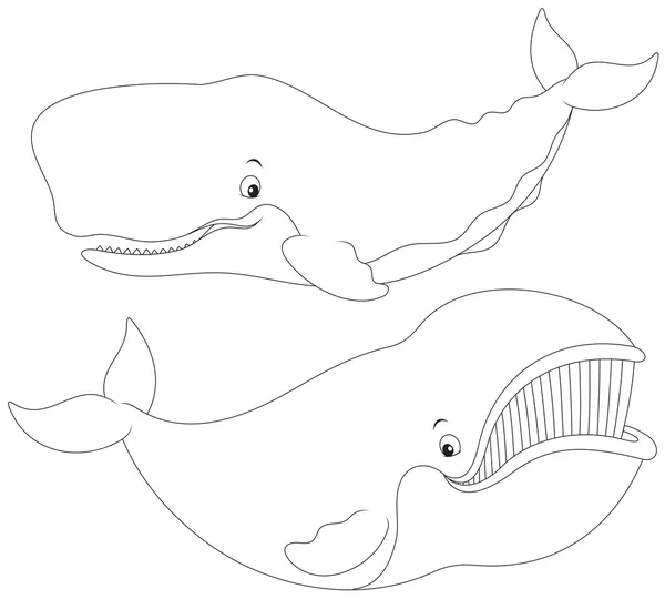 Baleias —  Vetores de Stock