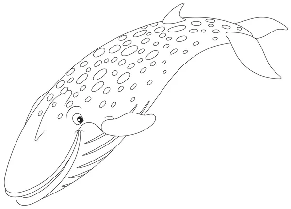 Ballena — Vector de stock