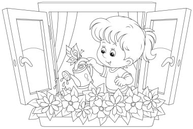 Kız Sulama Çiçekleri