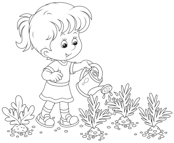 Girl watering carrots — Stock Vector