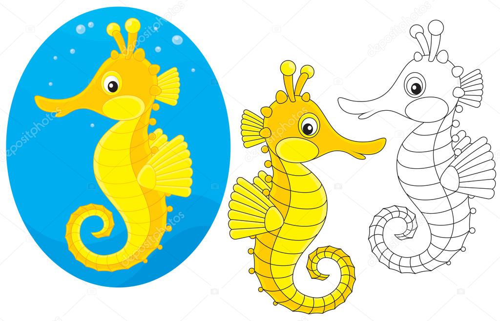 Sea horse