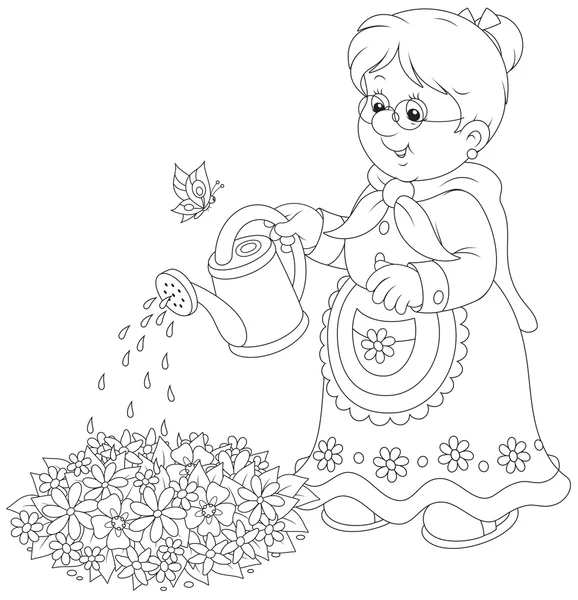 Granny watering flowers — Stock Vector