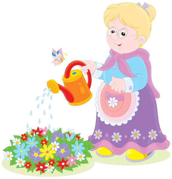 Granny watering flowers — Stock Vector