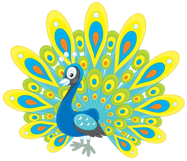 Pavo real — Vector de stock