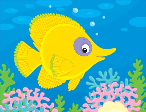 ปลาเขตร้อน — ภาพเวกเตอร์สต็อก